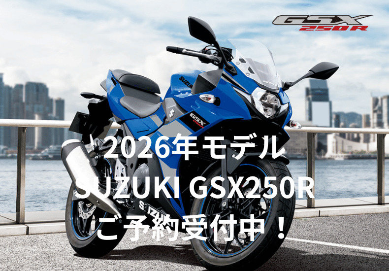 決定しました】GSX-250R 2019 【お得!!自賠責2028年5月まで＆