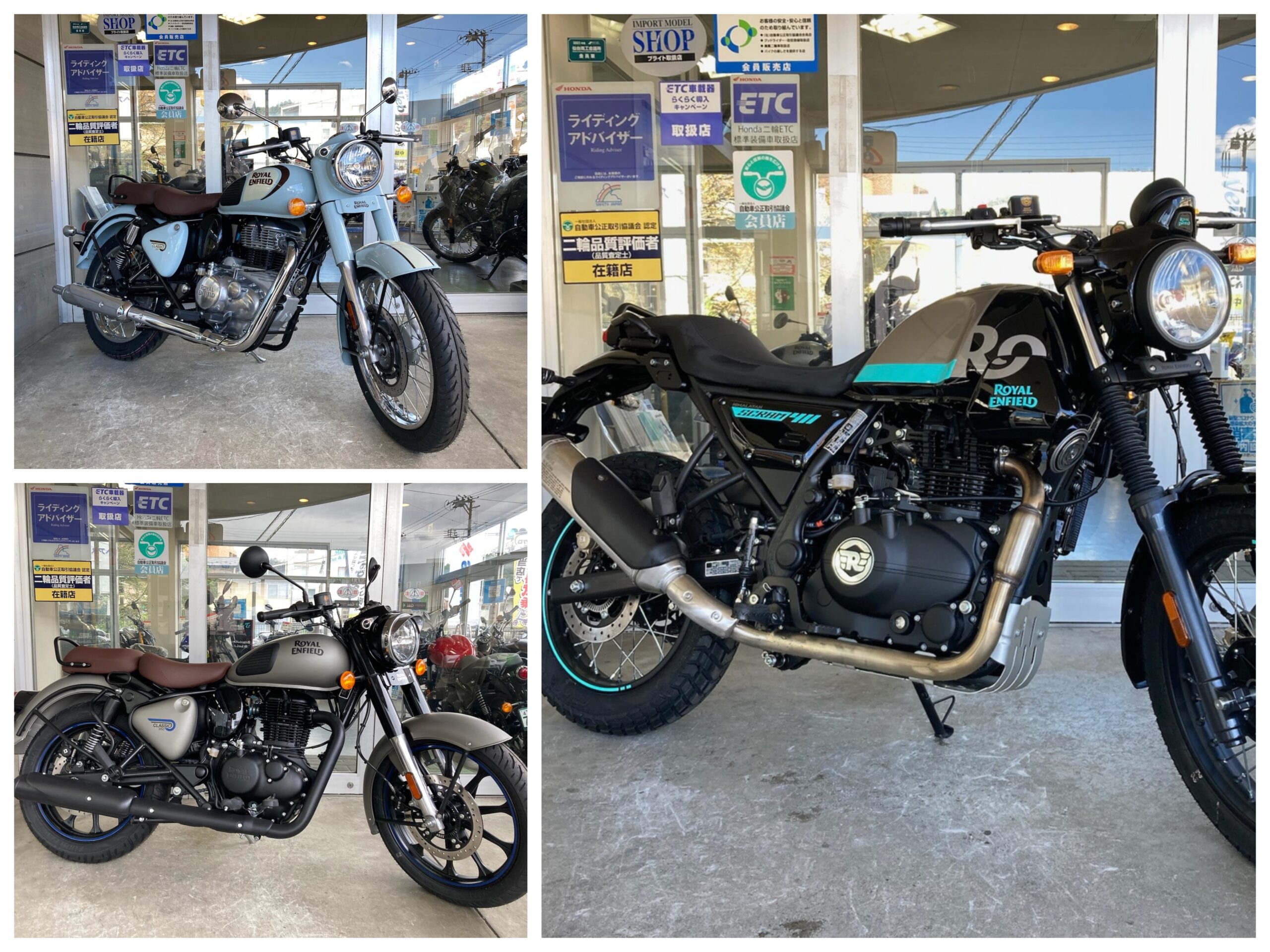 【八代海洋】 新着原種 ロイヤルブルー・ウアツマ（特上の高額個体！） ハイスペックNEC VX-E COREi5 3210M 4GB 250GB 15Wノート