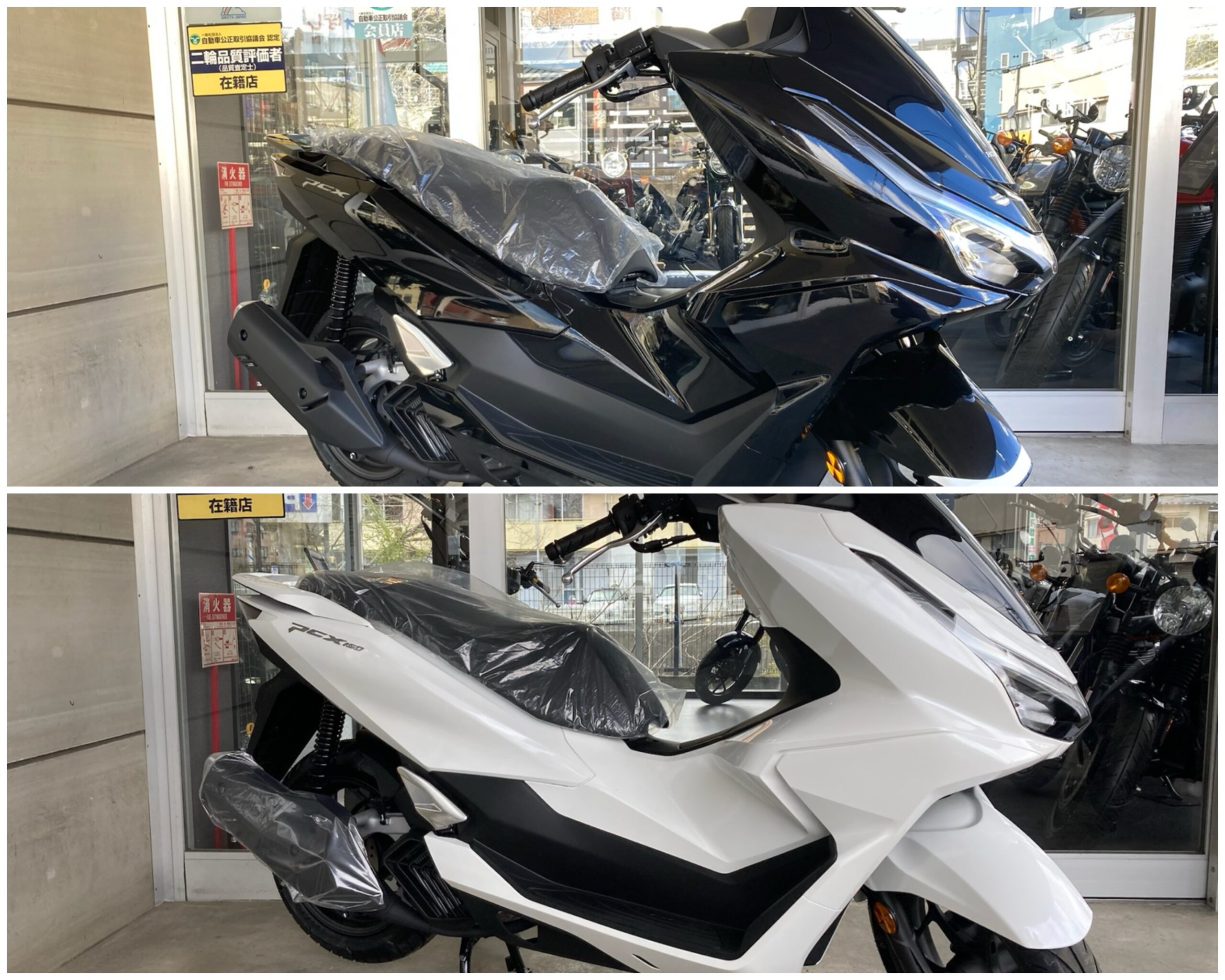 NEW・PCXシリーズ 今なら即納可能ですよ！ | ティーズ仙台